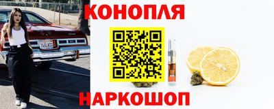 дмт Камышлов