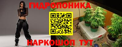дмт Камышлов