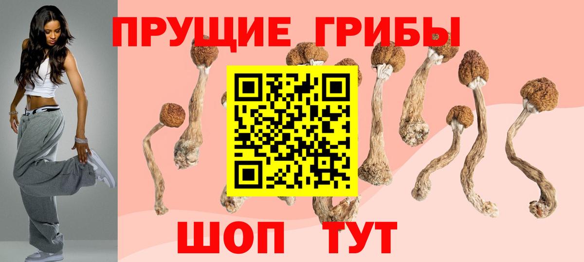 Псилоцибиновые грибы ЛСД  Псилоцибиновые грибы Cubensis  Краснодар  Вход с VPN 